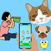 玉米视频